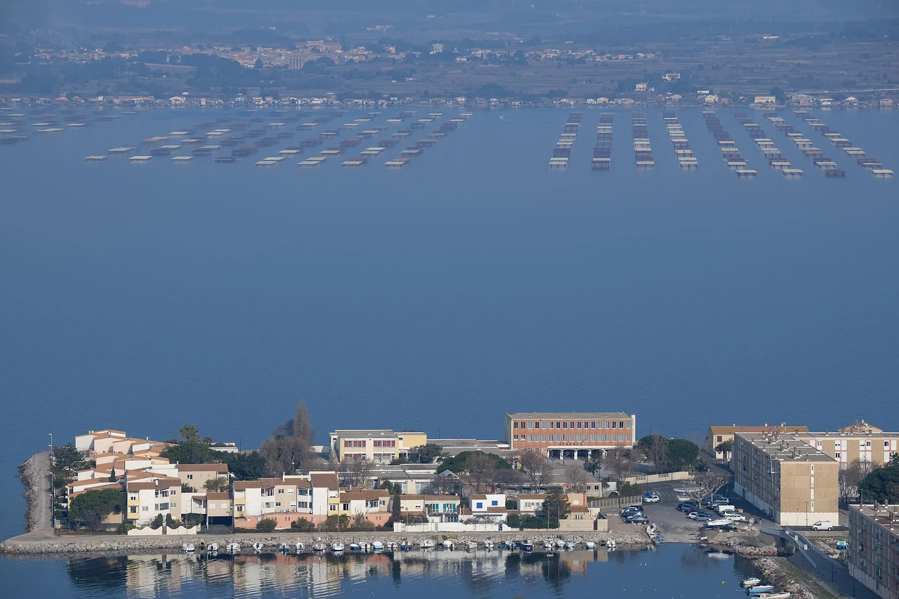 Vue aérienne des parcs à huîtres de l'étang de Thau